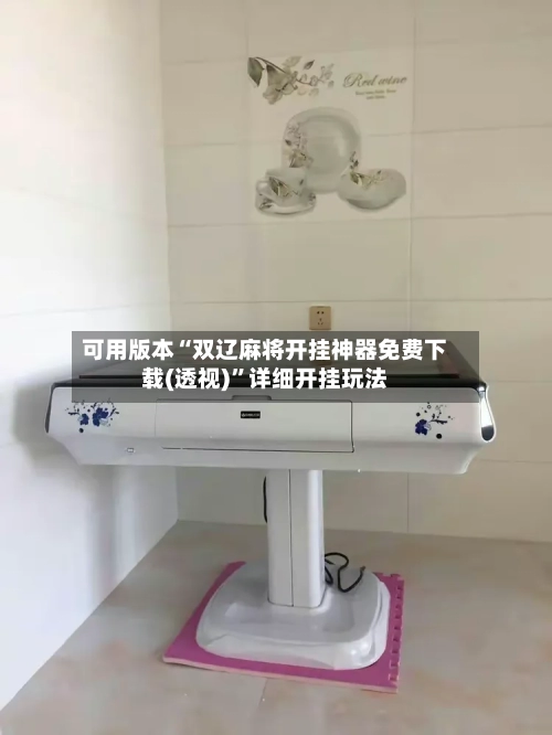 可用版本“双辽麻将开挂神器免费下载(透视)”详细开挂玩法-第2张图片