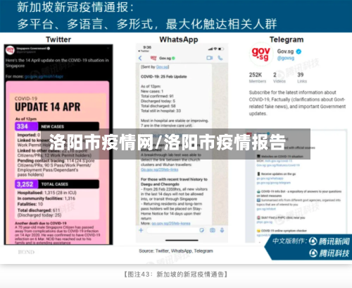 洛阳市疫情网/洛阳市疫情报告-第2张图片