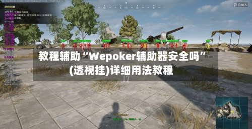 教程辅助“Wepoker辅助器安全吗”(透视挂)详细用法教程-第3张图片