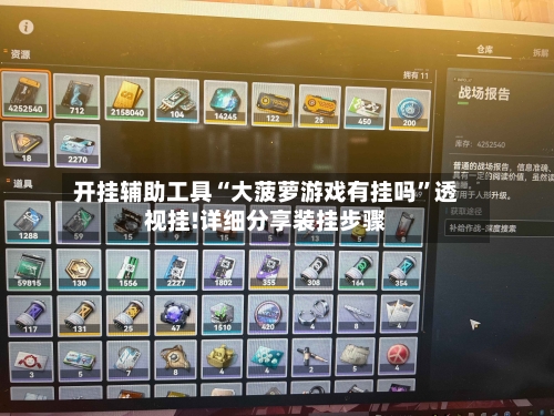 开挂辅助工具“大菠萝游戏有挂吗	”透视挂!详细分享装挂步骤-第2张图片