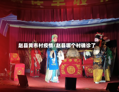 赵县黄市村疫情/赵县哪个村确诊了-第3张图片