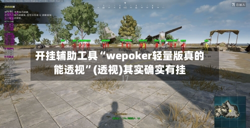 开挂辅助工具“wepoker轻量版真的能透视”(透视)其实确实有挂-第3张图片