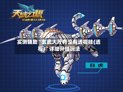 实测辅助“玄武大厅有没有透视挂(透视)”详细开挂玩法-第3张图片