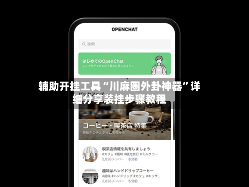 辅助开挂工具“川麻圈外卦神器	”详细分享装挂步骤教程-第2张图片