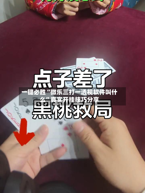 一键必胜“微乐三打一透视软件叫什么”真实开挂技巧分享-第3张图片