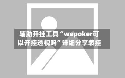辅助开挂工具“wepoker可以开挂透视吗”详细分享装挂-第3张图片