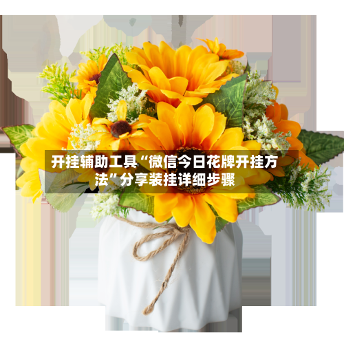 开挂辅助工具“微信今日花牌开挂方法”分享装挂详细步骤-第1张图片