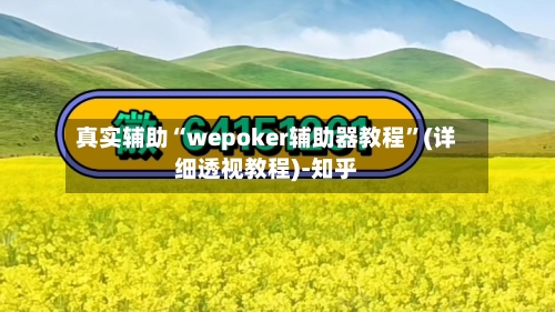真实辅助“wepoker辅助器教程	”(详细透视教程)-知乎-第1张图片