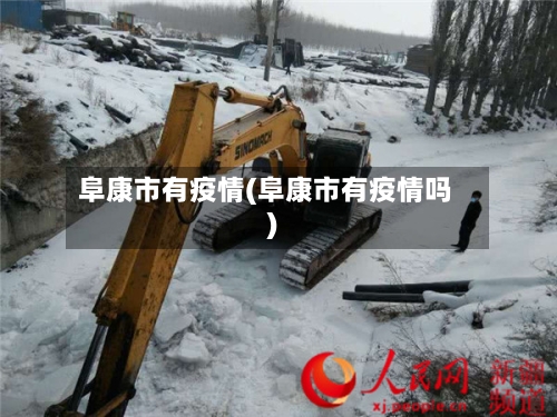 阜康市有疫情(阜康市有疫情吗)-第3张图片