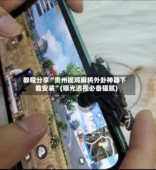 教程分享“贵州捉鸡麻将外卦神器下载安装”(曝光透视必备猫腻)-第1张图片