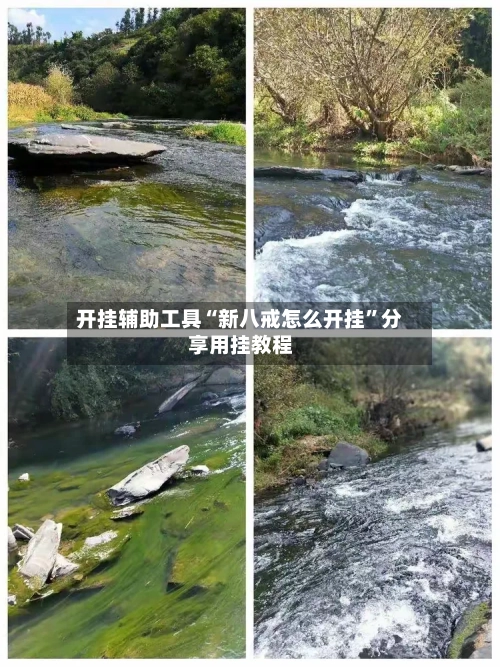 开挂辅助工具“新八戒怎么开挂”分享用挂教程-第1张图片