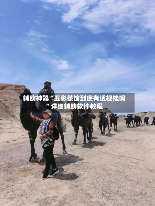 辅助神器“五彩茶馆到底有透视挂吗	”详细辅助软件教程-第1张图片