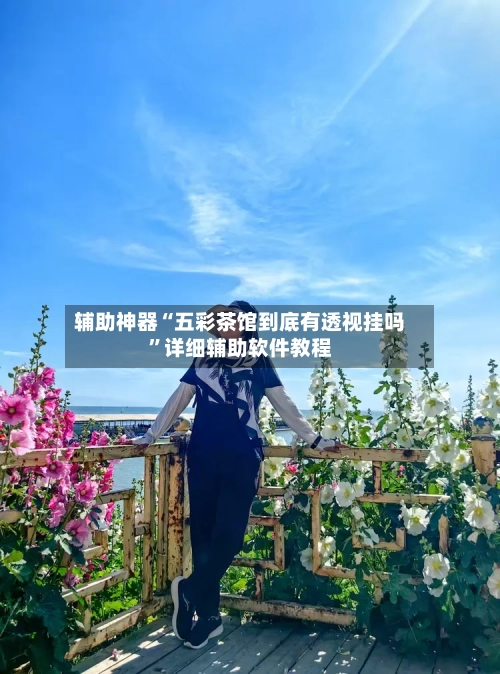 辅助神器“五彩茶馆到底有透视挂吗”详细辅助软件教程-第2张图片