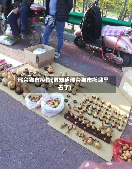邢台狗市疫情(谁知道邢台狗市搬哪里去了)-第2张图片