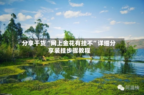 分享干货“网上金花有挂不”详细分享装挂步骤教程-第1张图片