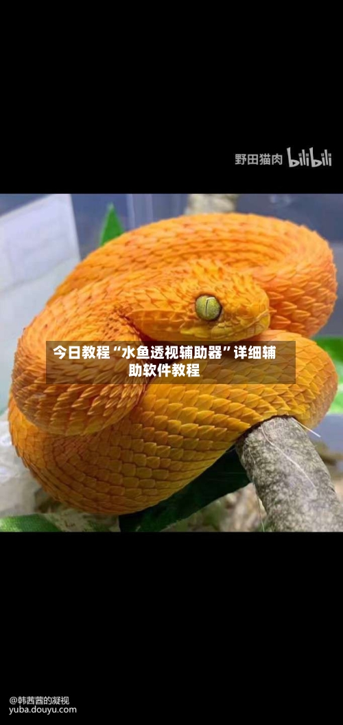 今日教程“水鱼透视辅助器	”详细辅助软件教程-第1张图片