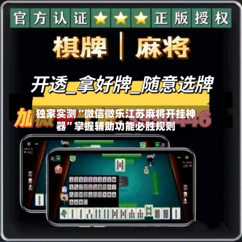 独家实测“微信微乐江苏麻将开挂神器”掌握辅助功能必胜规则-第2张图片