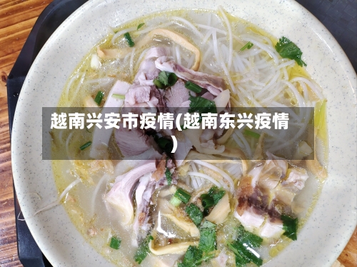 越南兴安市疫情(越南东兴疫情)-第2张图片