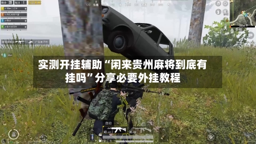实测开挂辅助“闲来贵州麻将到底有挂吗”分享必要外挂教程-第3张图片