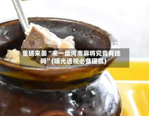 重磅来袭“来一盘河南麻将究竟有挂吗”(曝光透视必备猫腻)-第1张图片