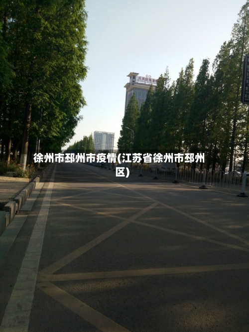 徐州市邳州市疫情(江苏省徐州市邳州区)-第3张图片