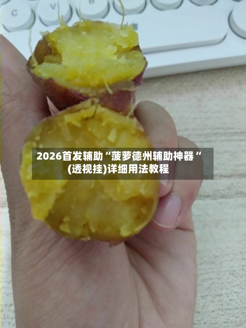 2026首发辅助“菠萝德州辅助神器“(透视挂)详细用法教程-第1张图片