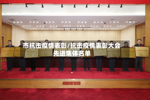 市抗击疫情表彰/抗击疫情表彰大会先进集体名单-第2张图片