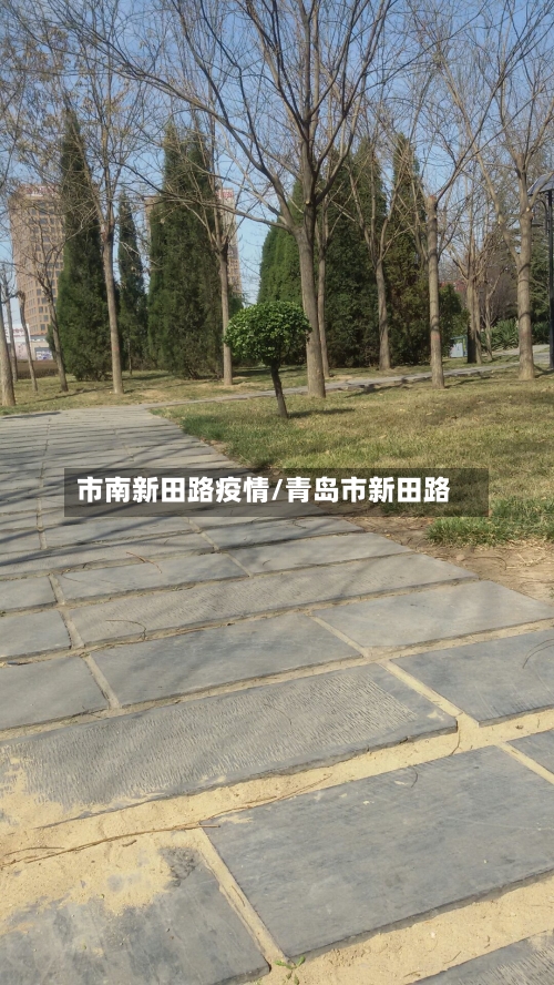 市南新田路疫情/青岛市新田路-第3张图片