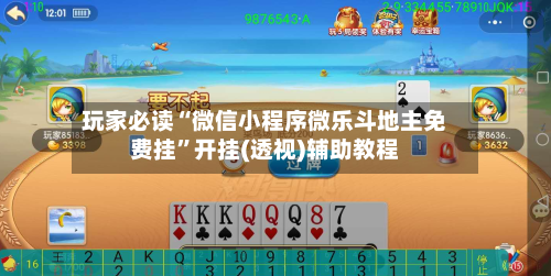 玩家必读“微信小程序微乐斗地主免费挂	”开挂(透视)辅助教程-第2张图片