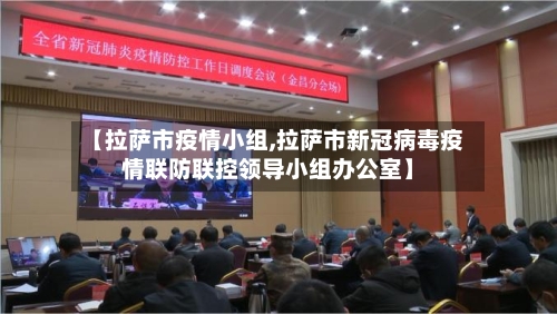 【拉萨市疫情小组,拉萨市新冠病毒疫情联防联控领导小组办公室】-第2张图片
