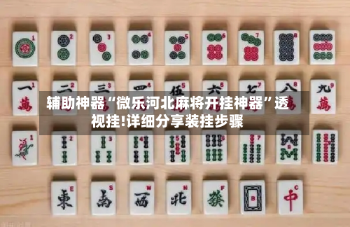 辅助神器“微乐河北麻将开挂神器”透视挂!详细分享装挂步骤-第3张图片