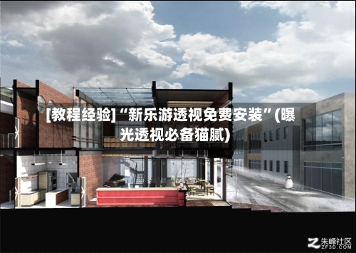 [教程经验]“新乐游透视免费安装	”(曝光透视必备猫腻)-第2张图片