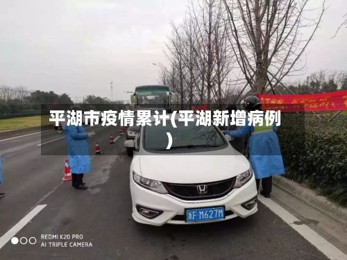 平湖市疫情累计(平湖新增病例)-第2张图片