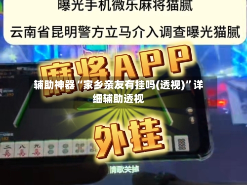 辅助神器“家乡亲友有挂吗(透视)”详细辅助透视-第1张图片