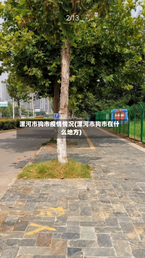 漯河市狗市疫情情况(漯河市狗市在什么地方)-第1张图片