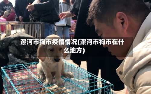 漯河市狗市疫情情况(漯河市狗市在什么地方)-第3张图片