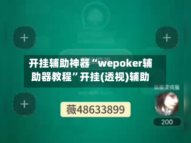 开挂辅助神器“wepoker辅助器教程”开挂(透视)辅助-第3张图片