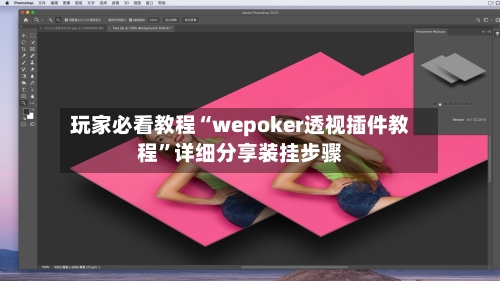 玩家必看教程“wepoker透视插件教程	”详细分享装挂步骤-第2张图片