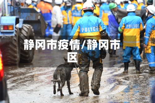 静冈市疫情/静冈市区-第1张图片