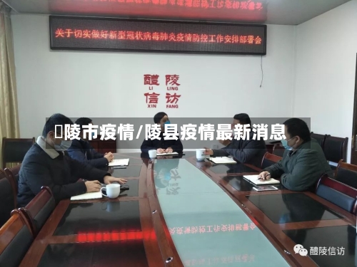醩陵市疫情/陵县疫情最新消息-第3张图片