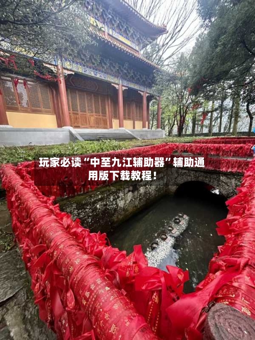 玩家必读“中至九江辅助器	”辅助通用版下载教程！-第2张图片