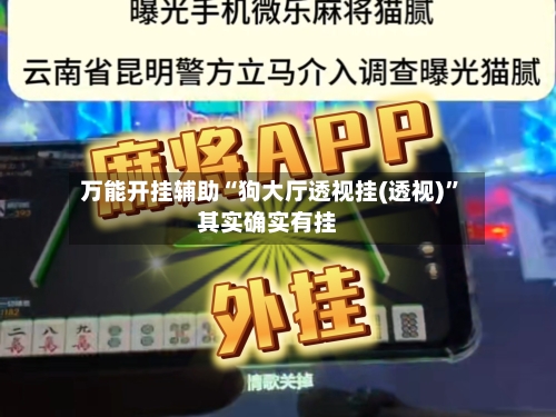 万能开挂辅助“狗大厅透视挂(透视)”其实确实有挂-第1张图片
