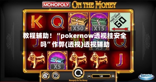 教程辅助！“pokernow透视挂安全吗”作弊(透视)透视辅助-第2张图片