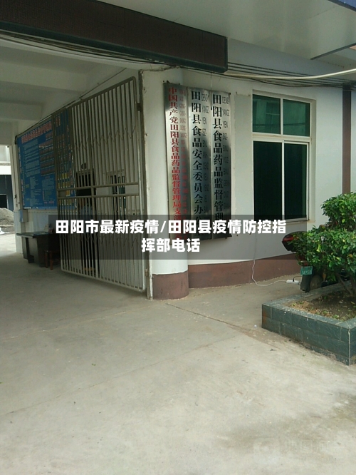 田阳市最新疫情/田阳县疫情防控指挥部电话-第1张图片