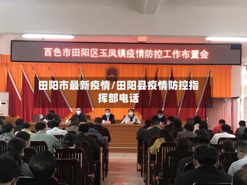 田阳市最新疫情/田阳县疫情防控指挥部电话-第3张图片
