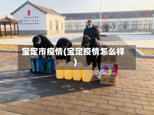 宝定市疫情(宝定疫情怎么样)-第1张图片
