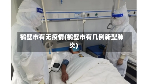 鹤壁市有无疫情(鹤壁市有几例新型肺炎)-第3张图片