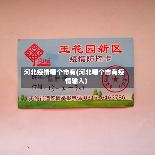河北疫情哪个市有(河北哪个市有疫情输入)-第1张图片