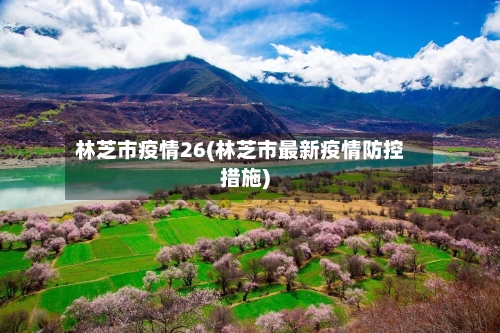 林芝市疫情26(林芝市最新疫情防控措施)-第1张图片