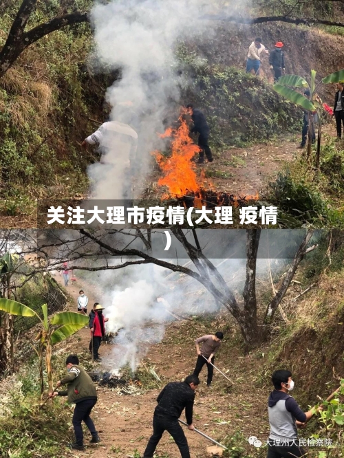 关注大理市疫情(大理 疫情)-第2张图片